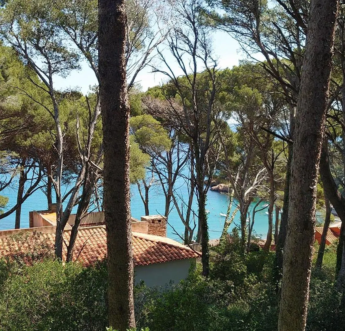 Sa Riera Begur, 200 M Walk To Sa Riera Beach Espagne